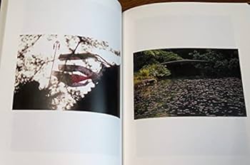 盛岡啓人 廓址 決定版 カストリ書房 遊郭写真集 赤線 Amazon.co.jp: 東京バラダイス 盛岡啓人 東京下町 遊廓 遊郭 赤